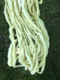 Catnip dyed merino, yellow handspun luxury yarn, 50 yards